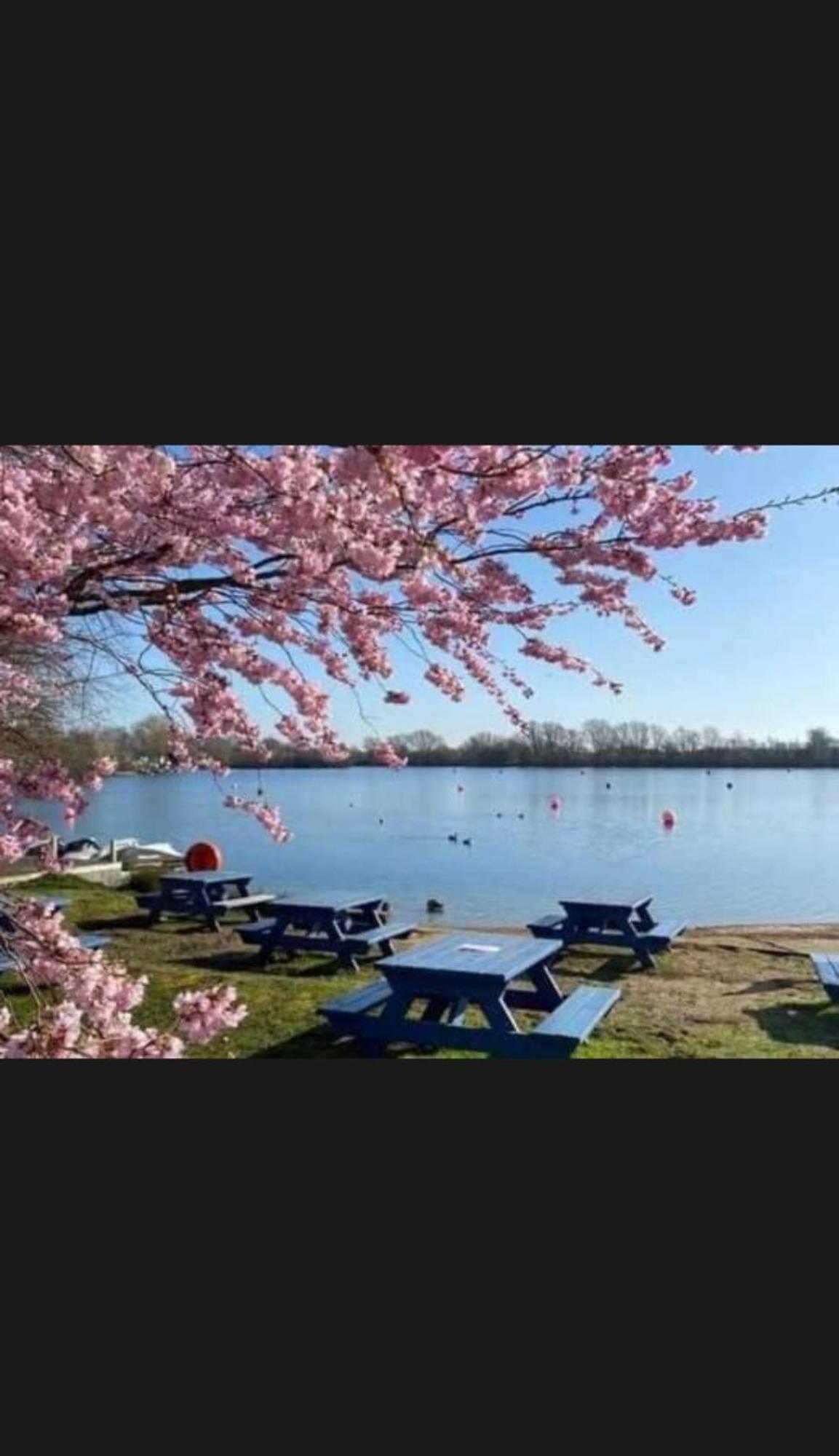 Swan View Retreats # Hottub # Egg Chair # Bbq & Bikes Included 8 Berth Tattershall Esterno foto